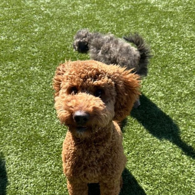 Winnie