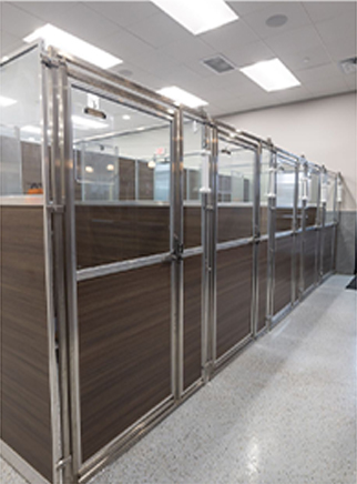 Pet Boarding & Day Stay Suites at Unleashed Pets in Waukee, Iowa