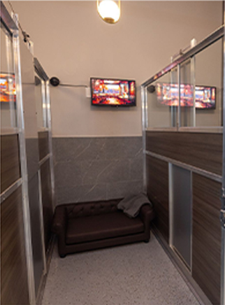 Pet Boarding & Day Stay Suite at Unleashed Pets in Waukee, Iowa