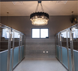 Pet Boarding & Day Stay Suite at Unleashed Pets in Waukee, Iowa