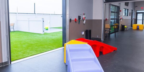 Indoor Dog Park at Unleashed Pets in Waukee, Iowa