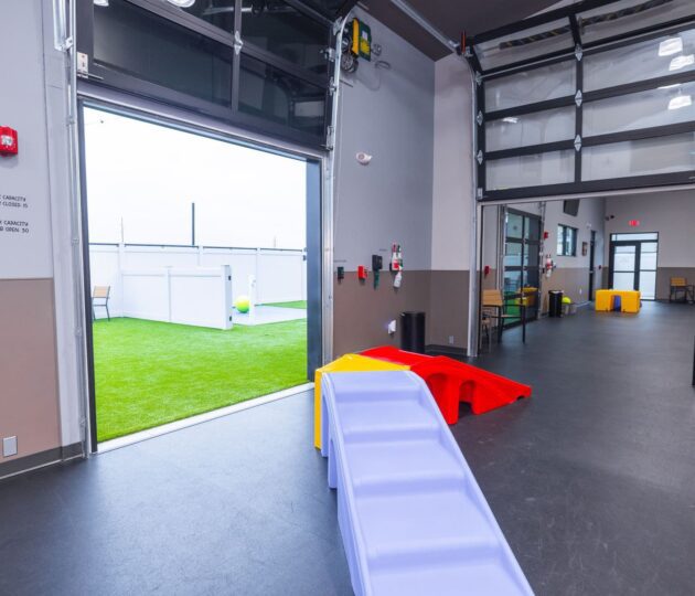Indoor Dog Park and Outdoor Dog Park at Unleashed Pets in Waukee, Iowa