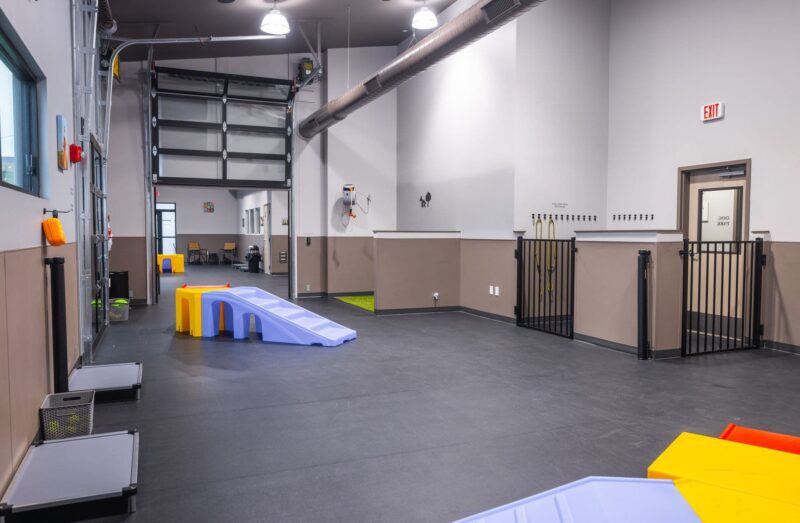 Indoor Dog Park at Unleashed Pets in Waukee, Iowa Indoor Dog Park at Unleashed Pets in Waukee, Iowa