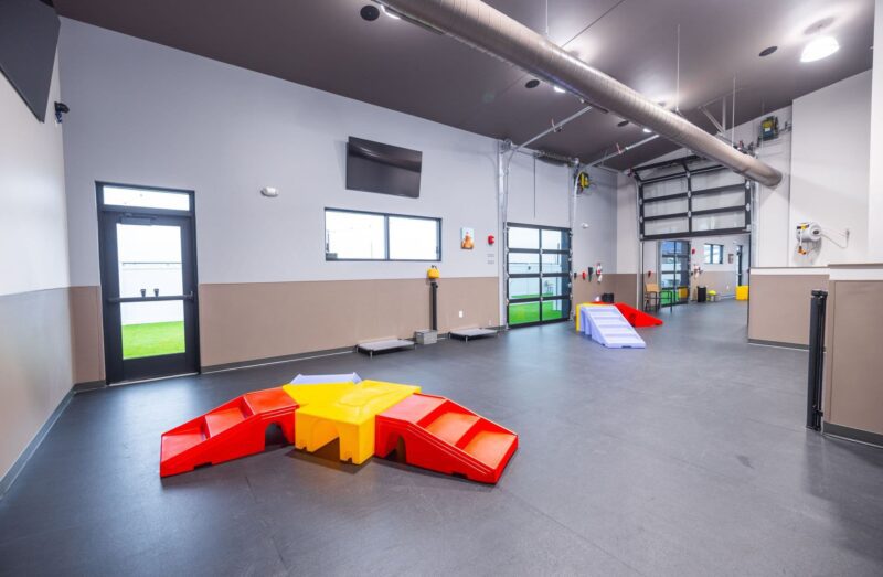 Indoor Dog Park at Unleashed Pets in Waukee, Iowa Indoor Dog Park at Unleashed Pets in Waukee, Iowa