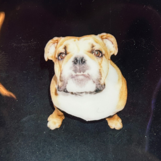 Huckleberry Huckleberry